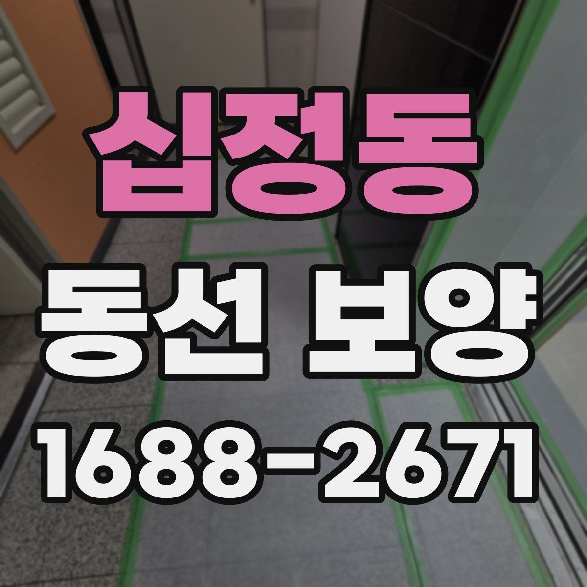 십정동 동선 보양