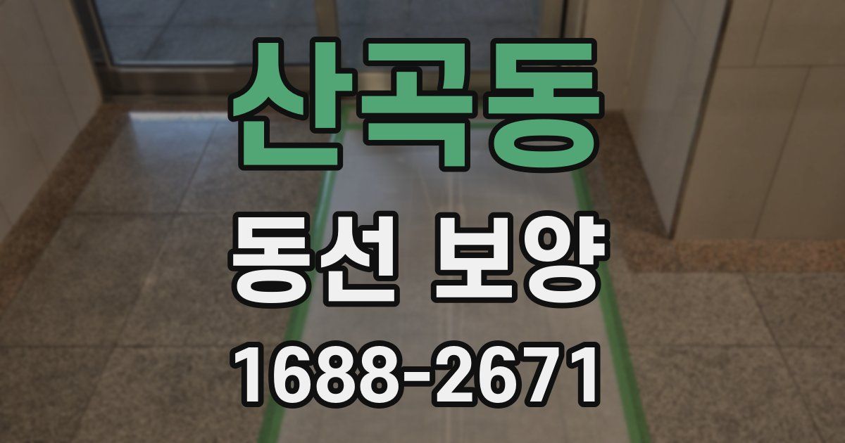 산곡동 동선 보양