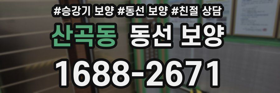 산곡동 동선 보양