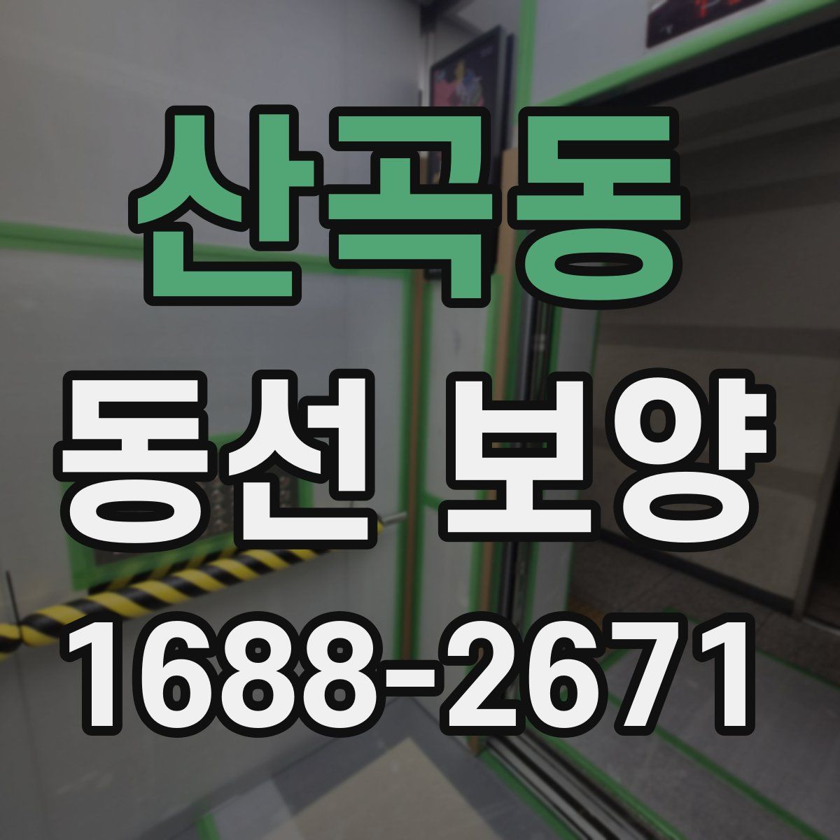 산곡동 동선 보양