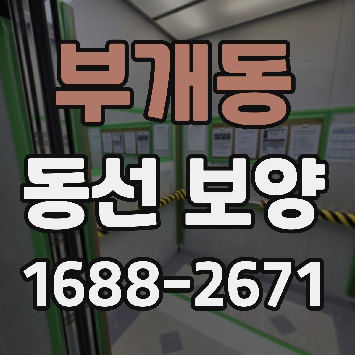 부개동 동선 보양 현장 적용 사례와 작업 노하우