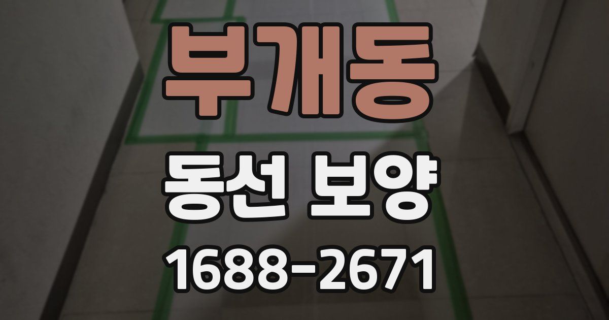 부개동 동선 보양