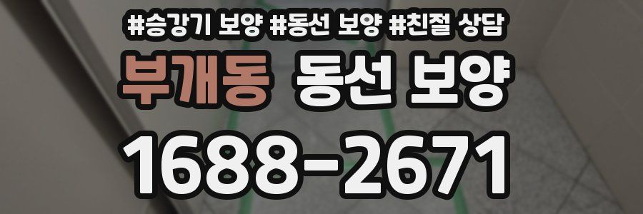 부개동 동선 보양