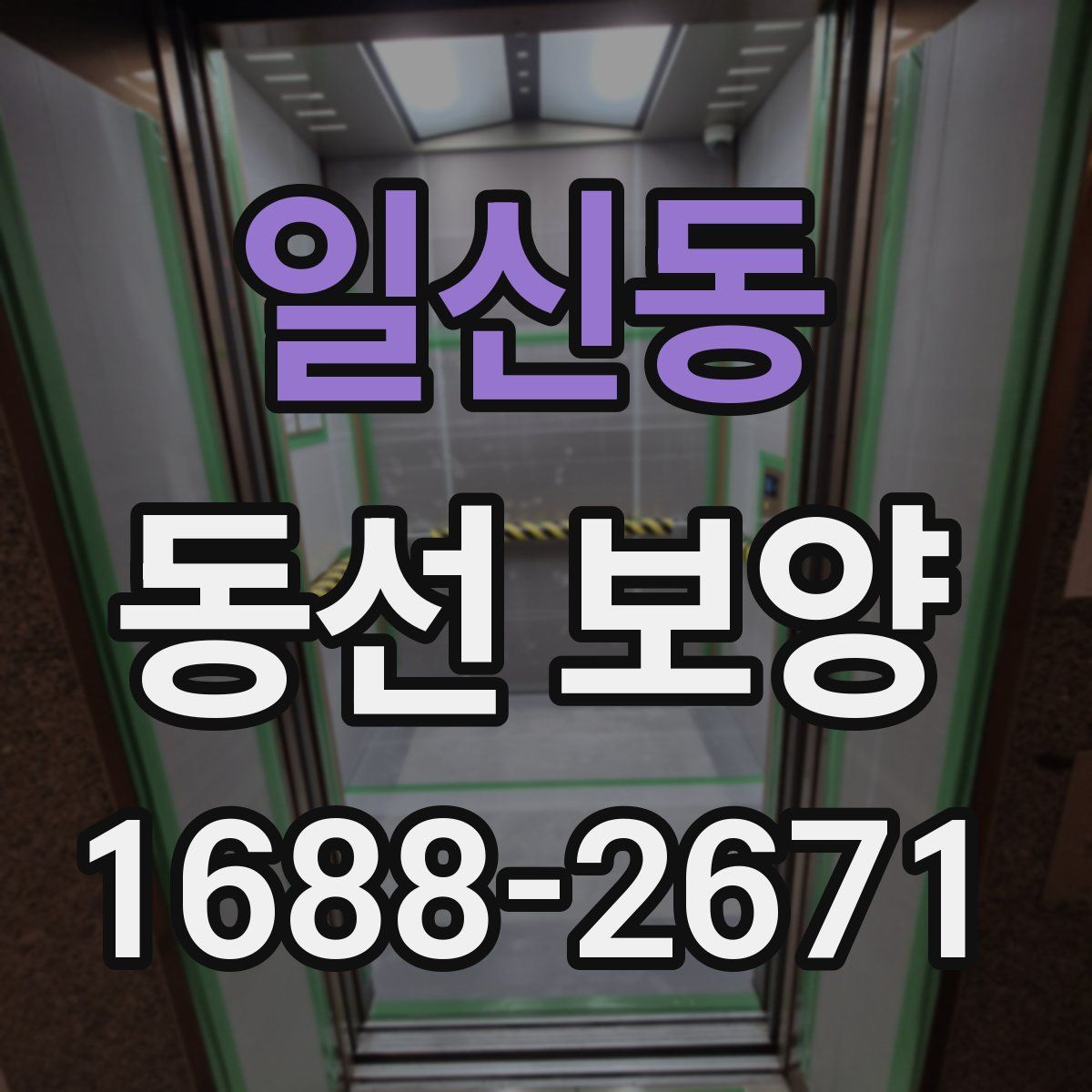 일신동 동선 보양