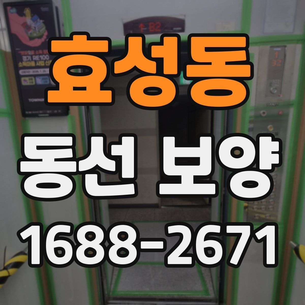 효성동 동선 보양