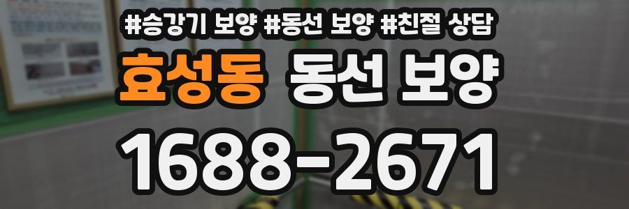 효성동 동선 보양