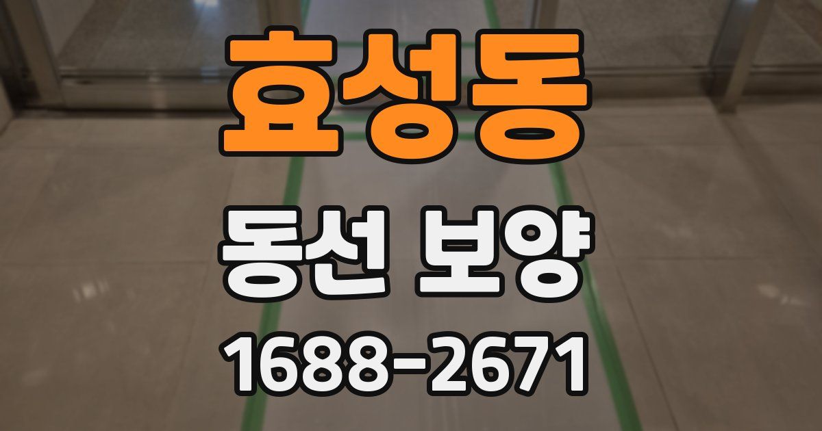 효성동 동선 보양