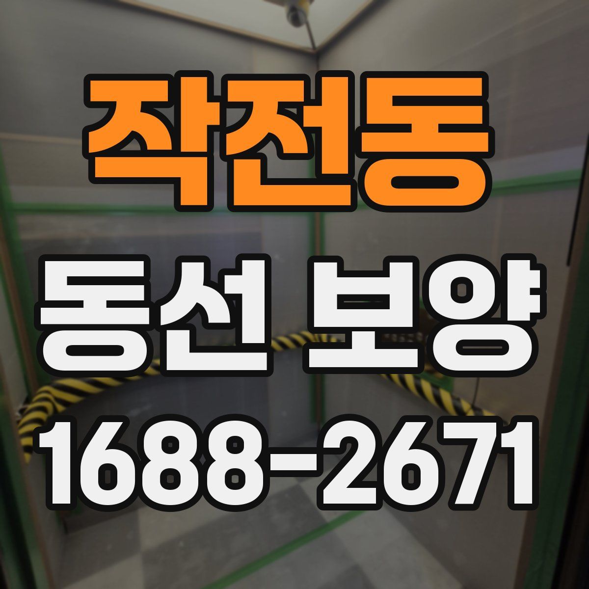 작전동 동선 보양