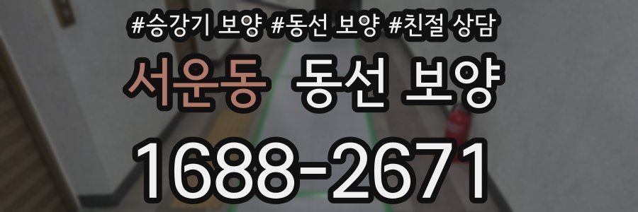 서운동 동선 보양