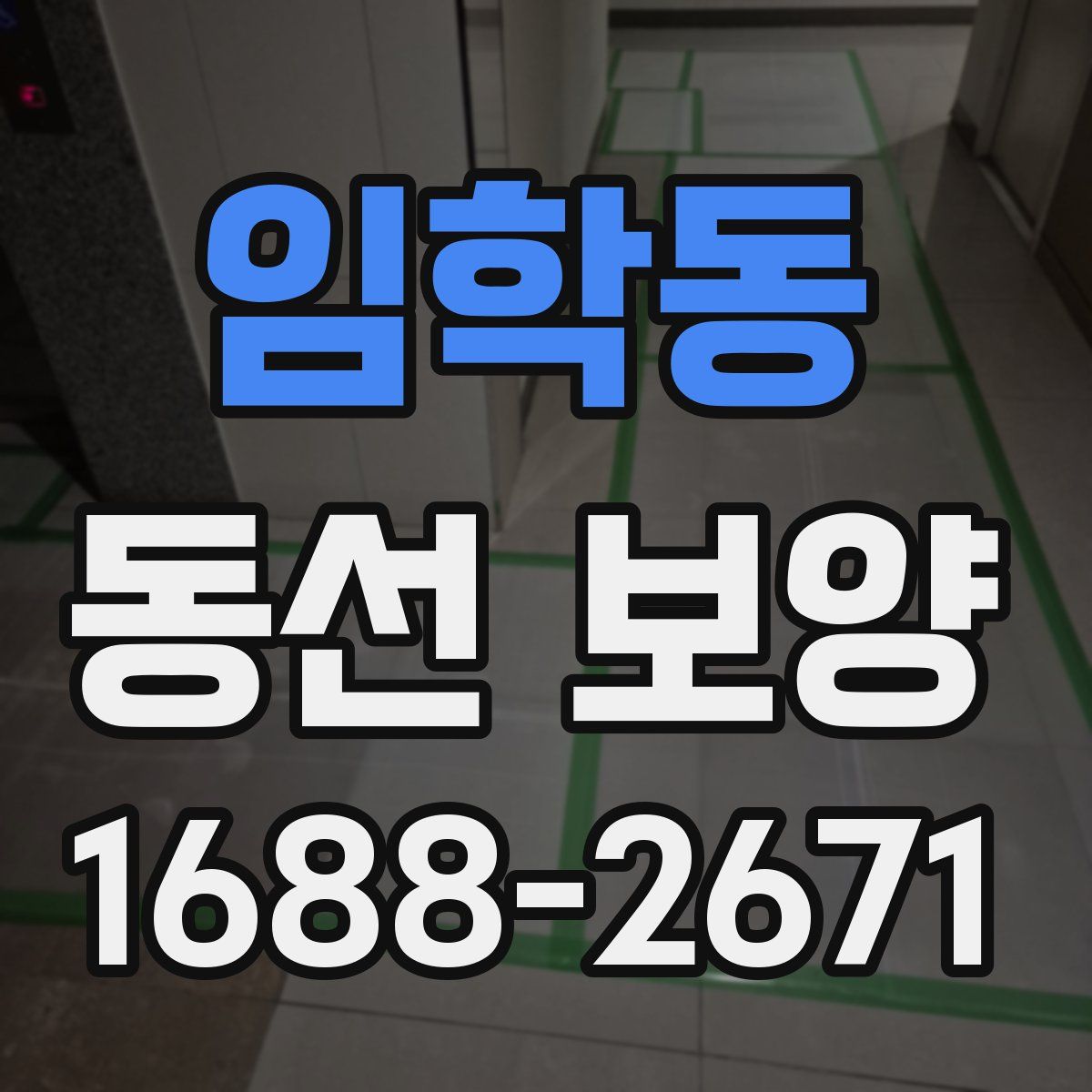 임학동 동선 보양