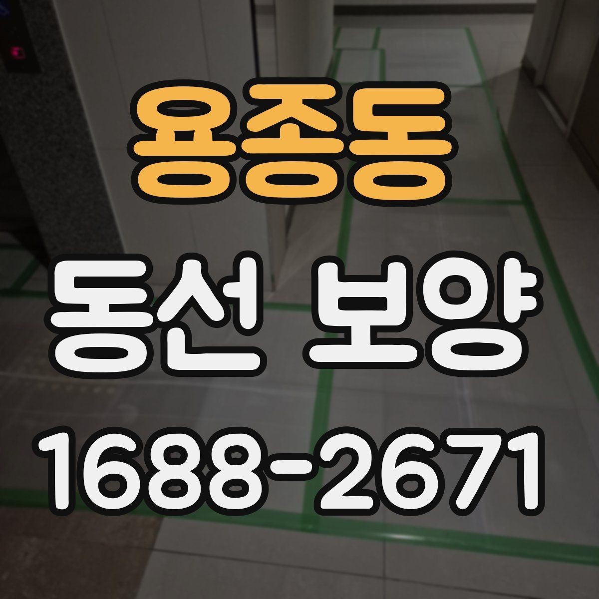용종동 동선 보양 작업의 핵심은 어디에 있을까