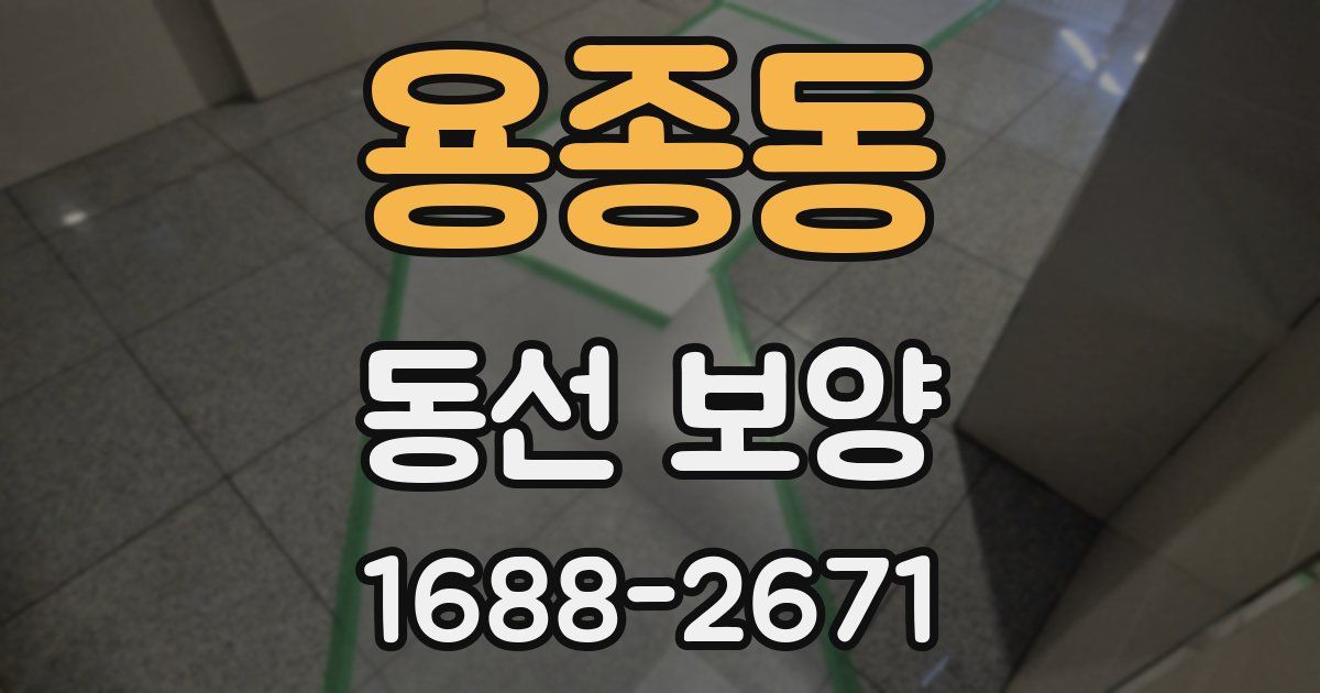 용종동 동선 보양