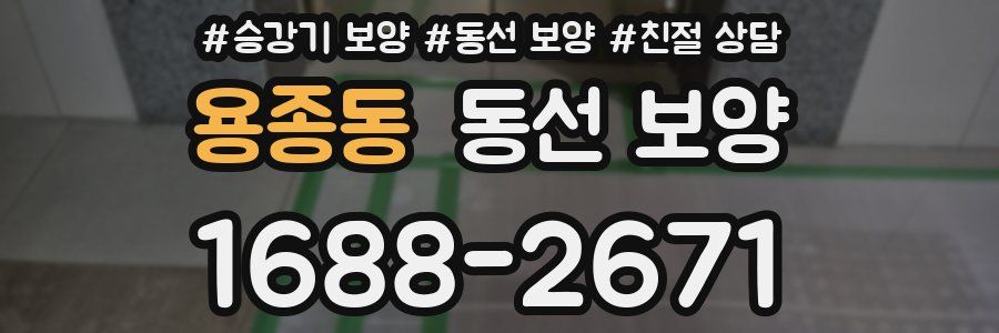 용종동 동선 보양