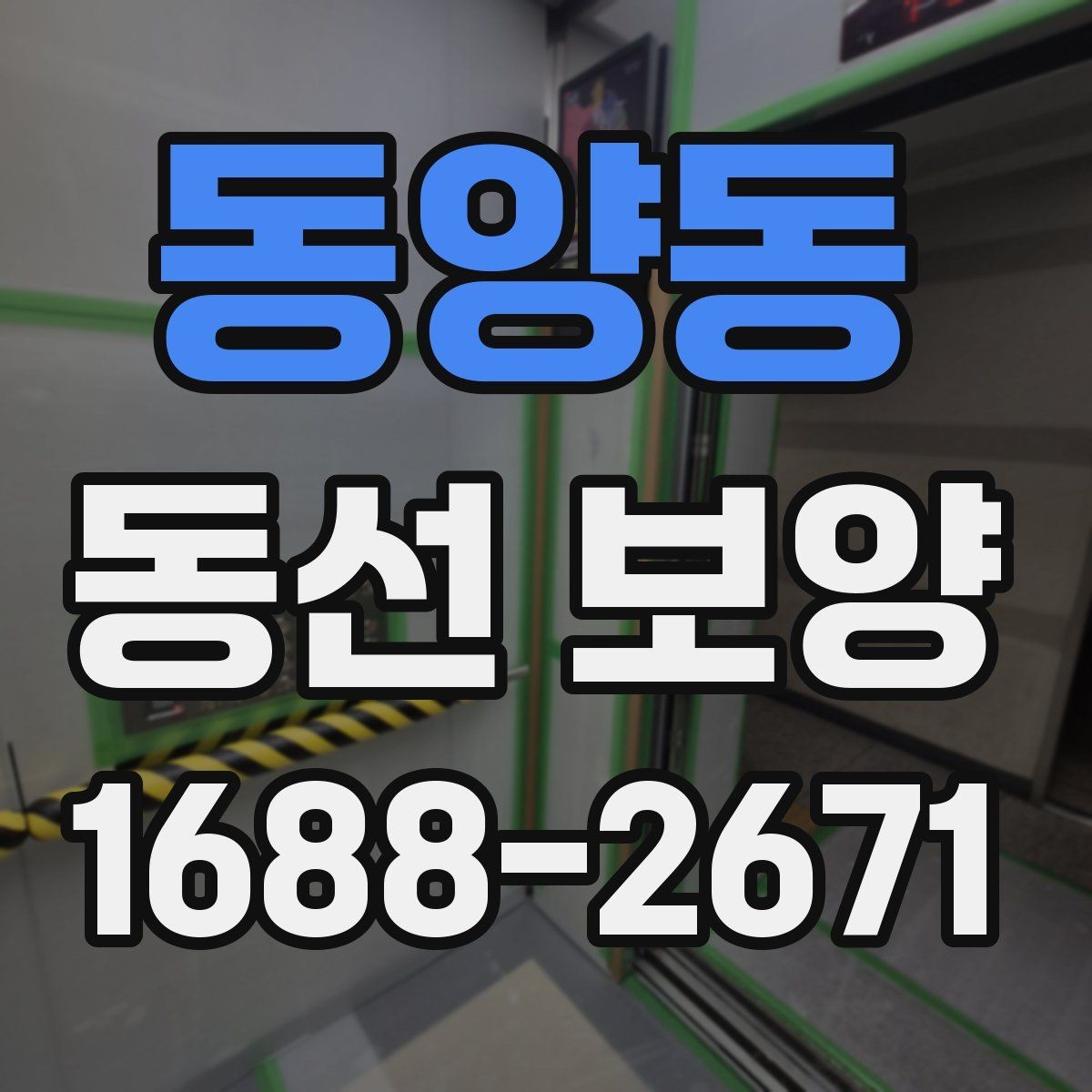 동양동 동선 보양 작업의 완성도를 높이는 관리법