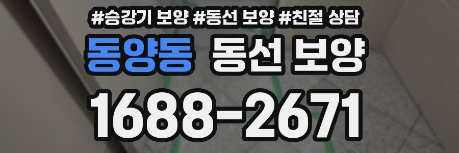 동양동 동선 보양