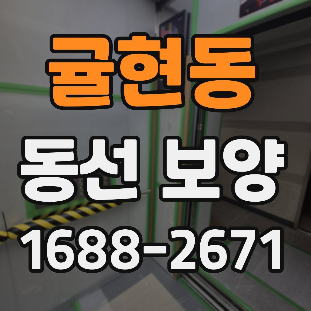 귤현동 동선 보양