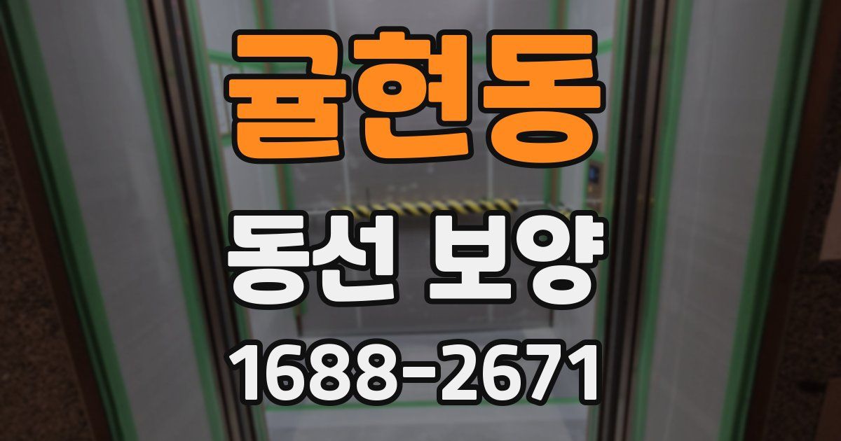 귤현동 동선 보양