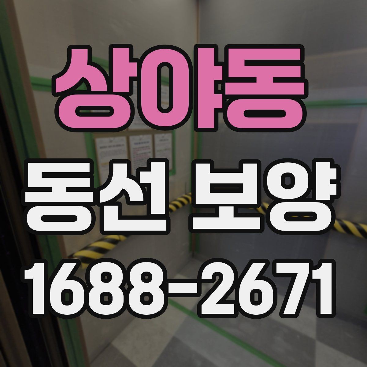 상야동 동선 보양 시공 전 현장 상태 점검하기