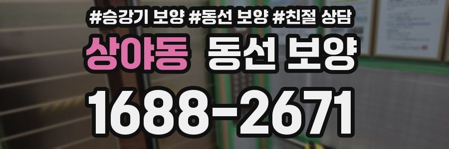 상야동 동선 보양