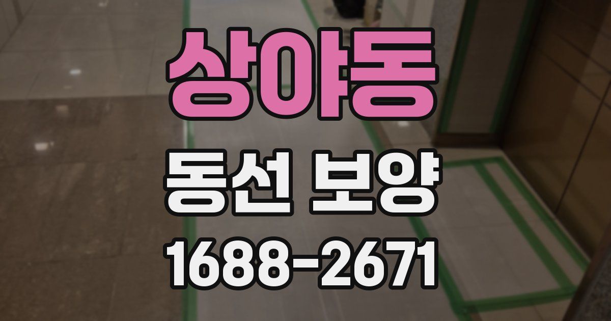 상야동 동선 보양