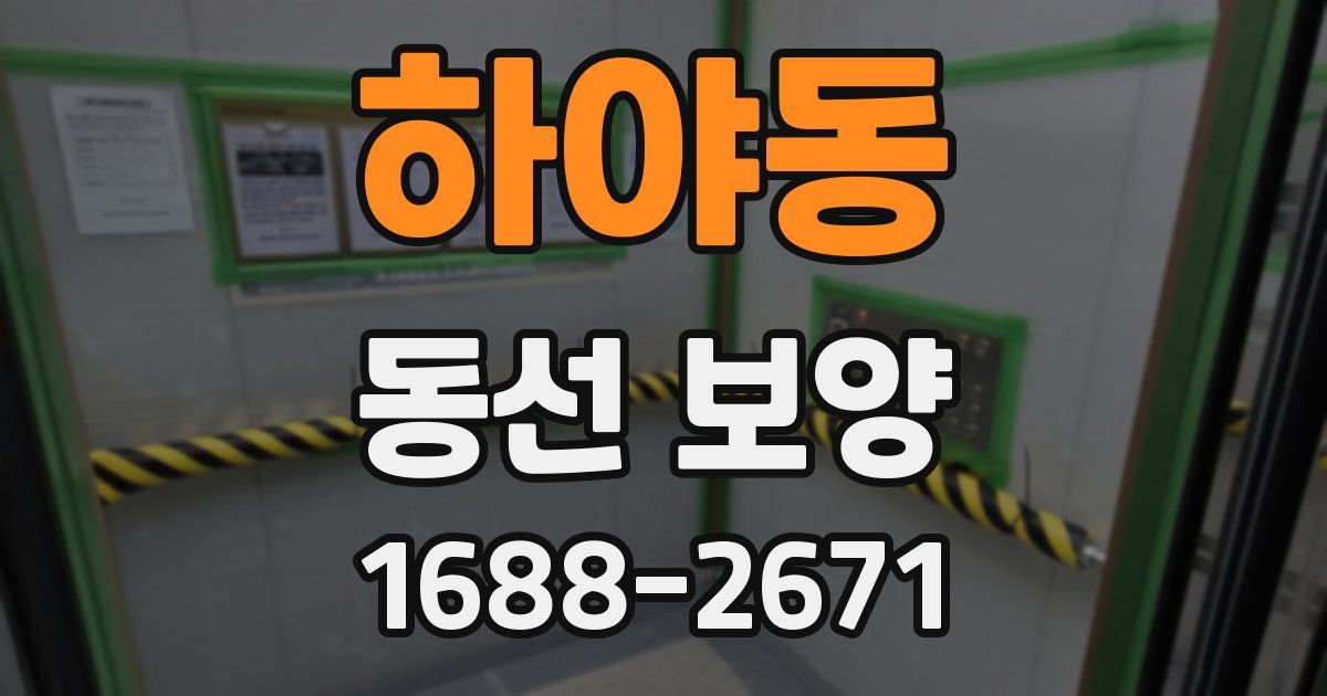 하야동 동선 보양