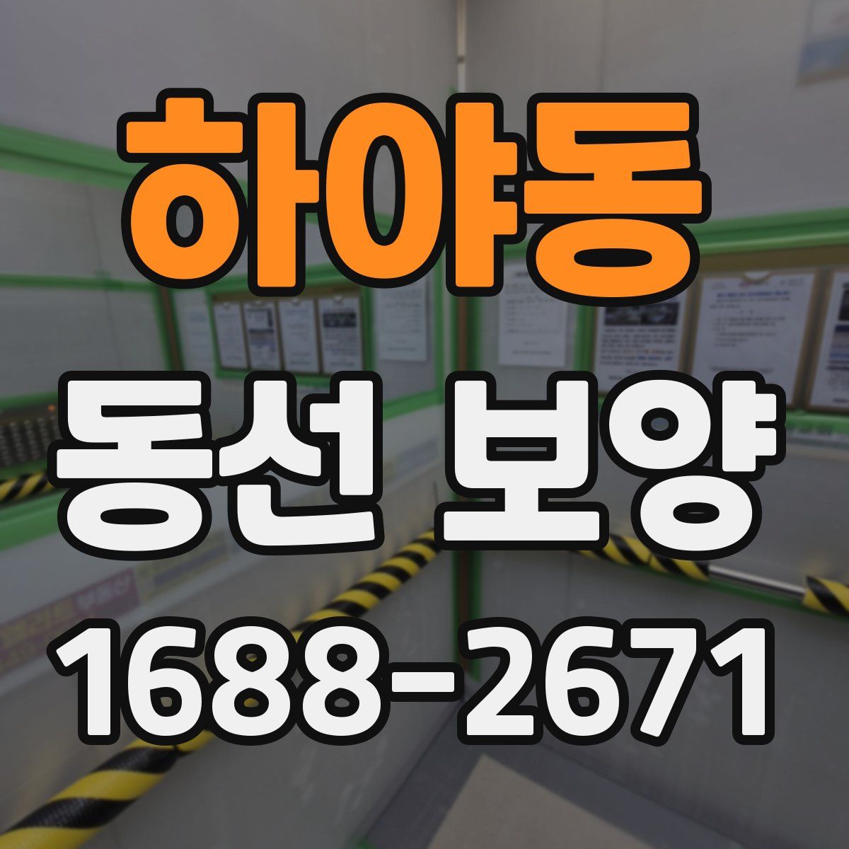 하야동 동선 보양