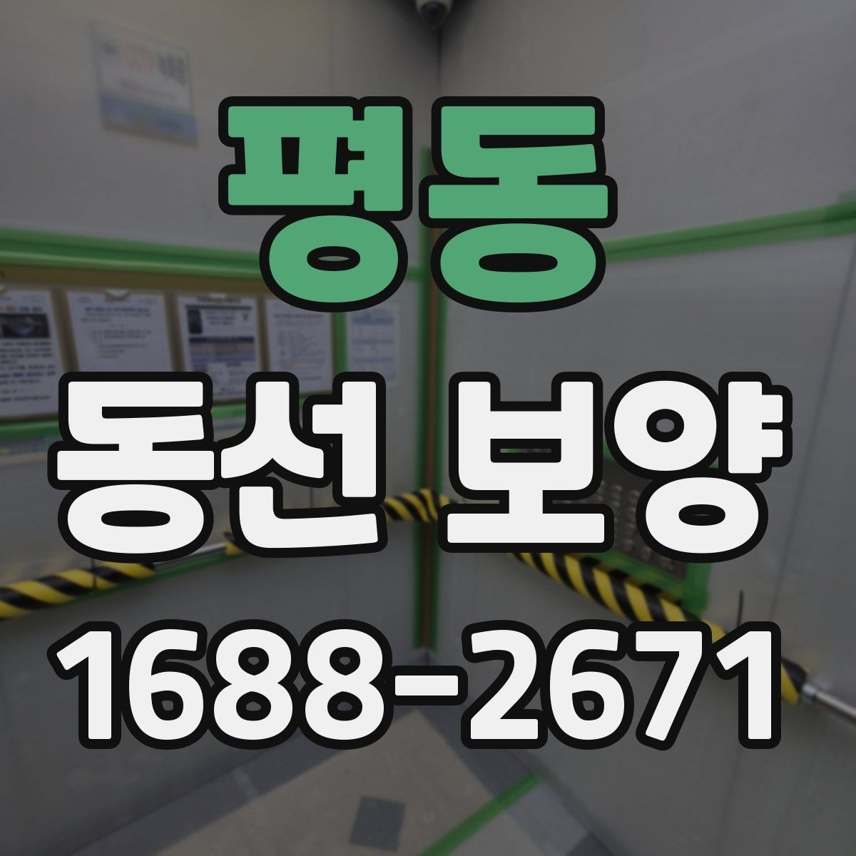 평동 동선 보양 시 필요한 안전 수칙과 보호 장비