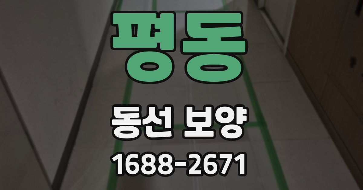 평동 동선 보양