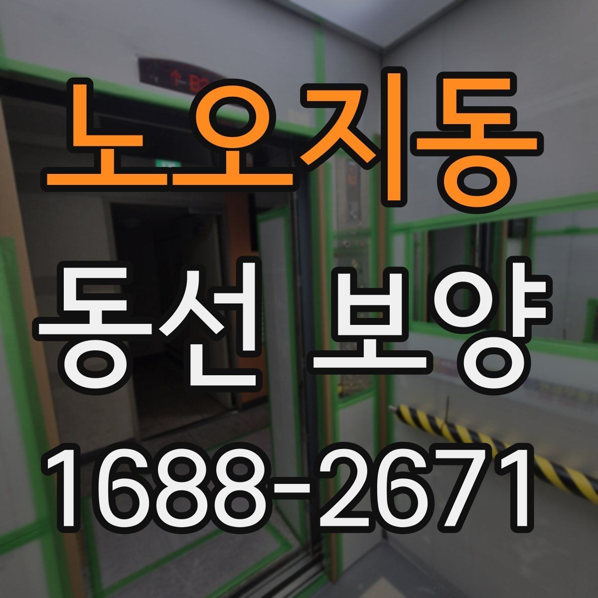 노오지동 동선 보양 현장에서 주의할 점 정리
