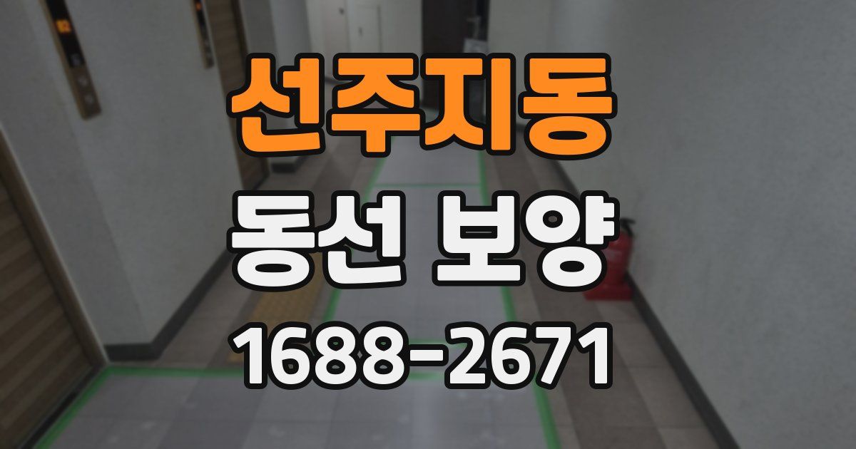 선주지동 동선 보양