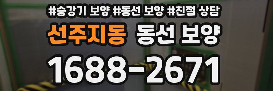 선주지동 동선 보양