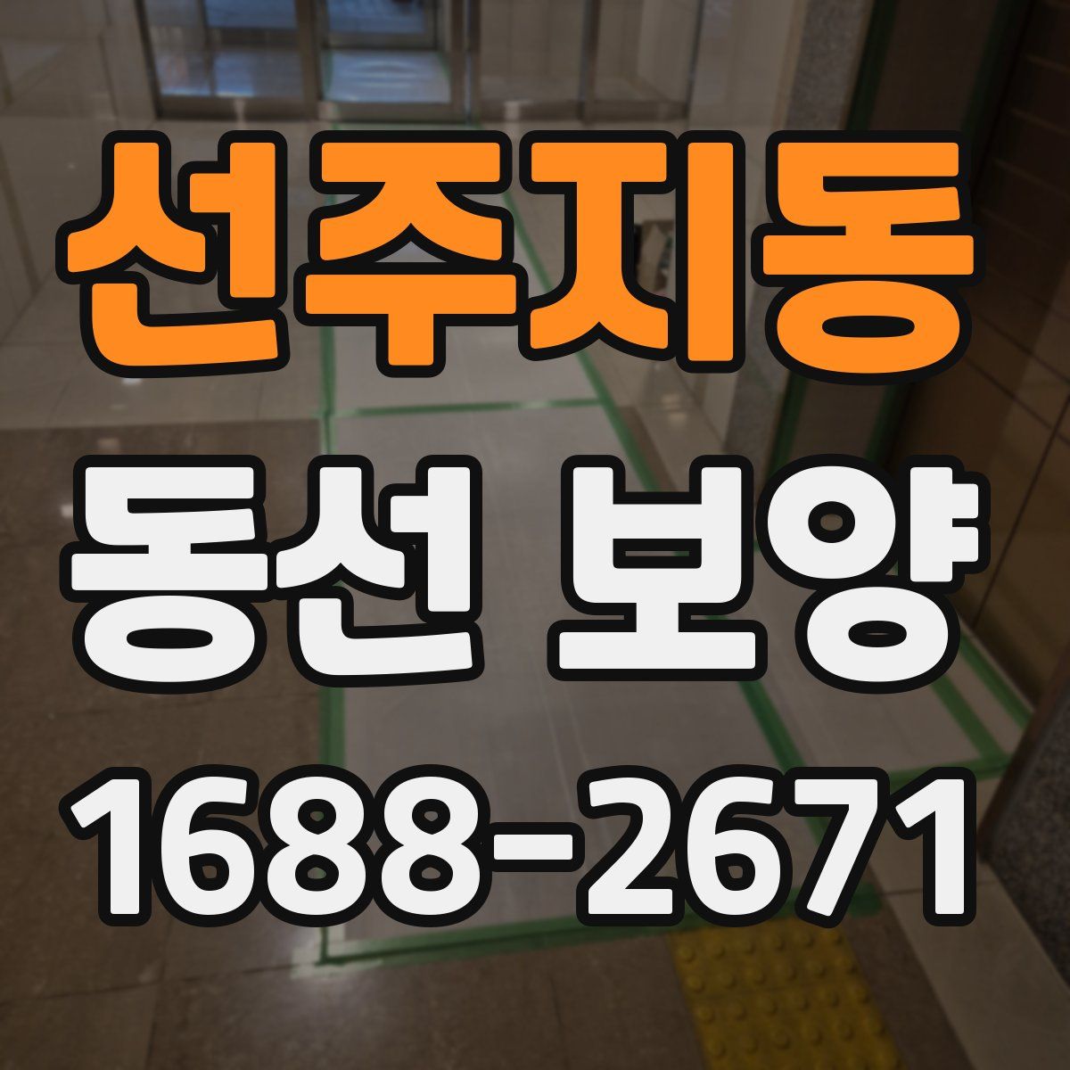 선주지동 동선 보양