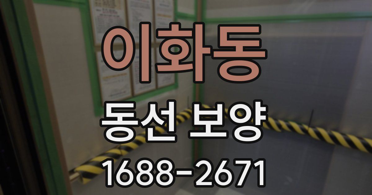 이화동 동선 보양