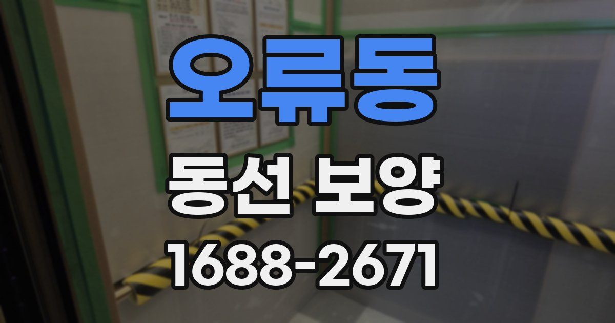 오류동 동선 보양