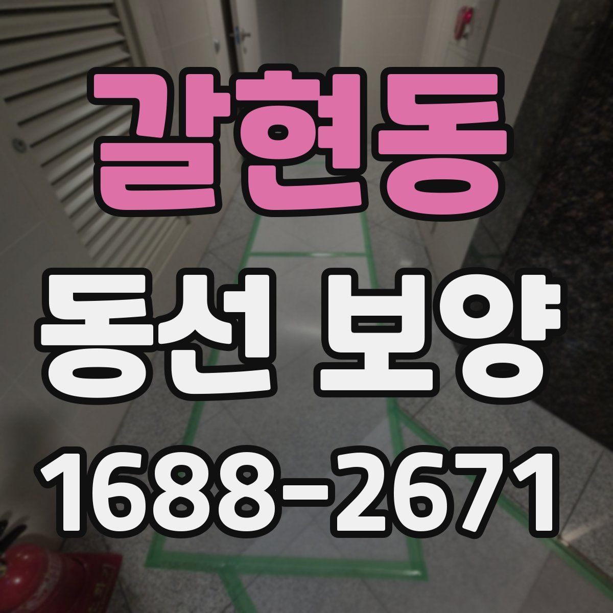 갈현동 동선 보양