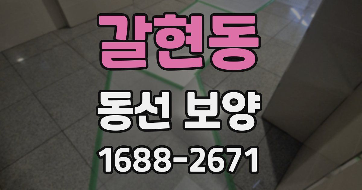 갈현동 동선 보양