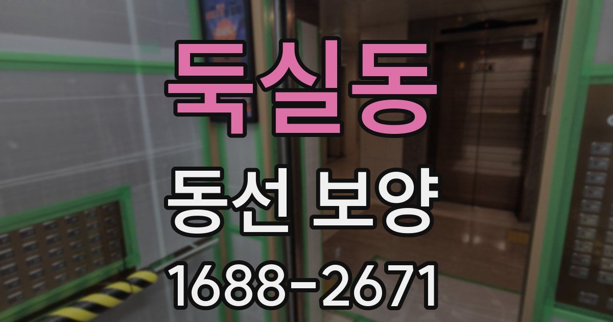 둑실동 동선 보양