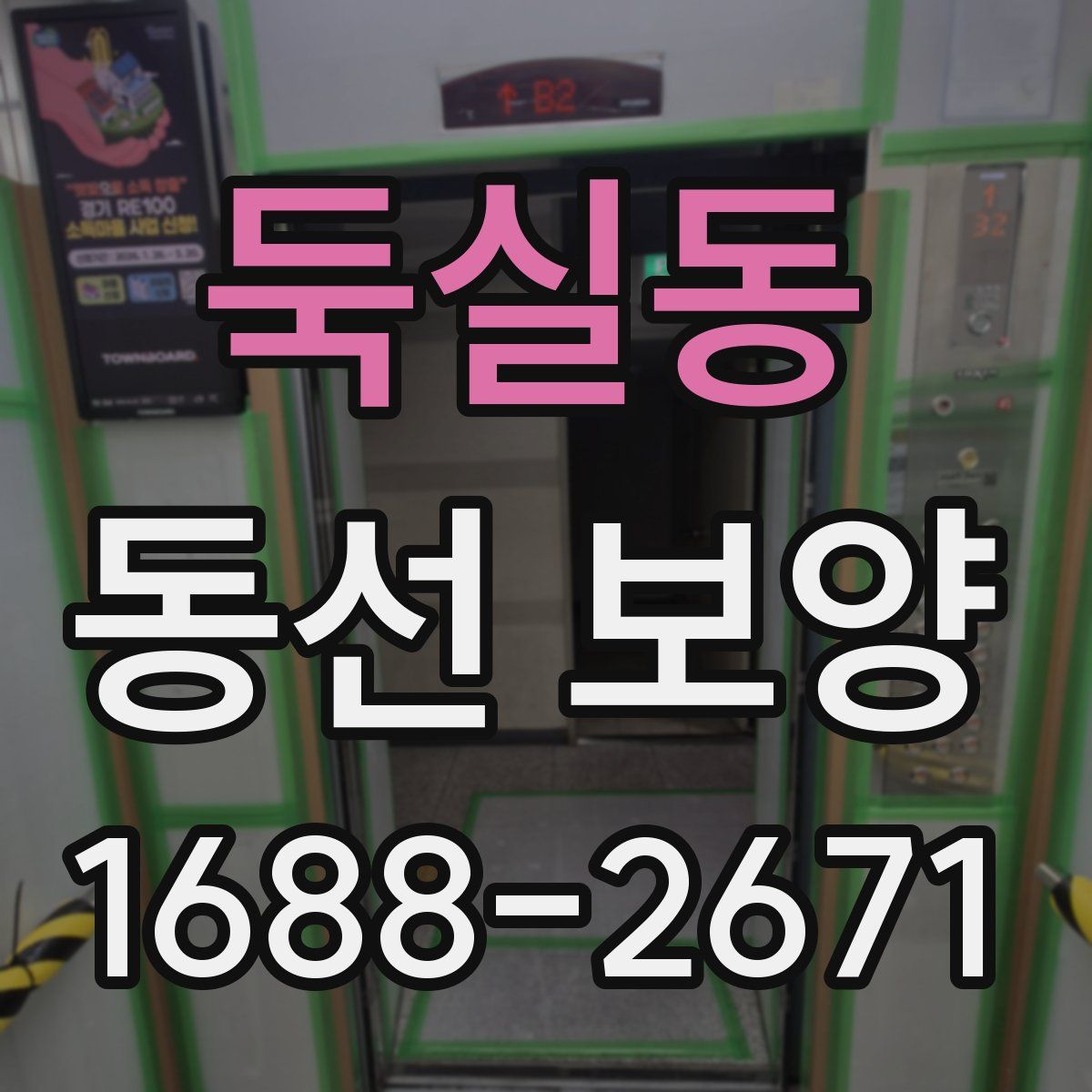 둑실동 동선 보양
