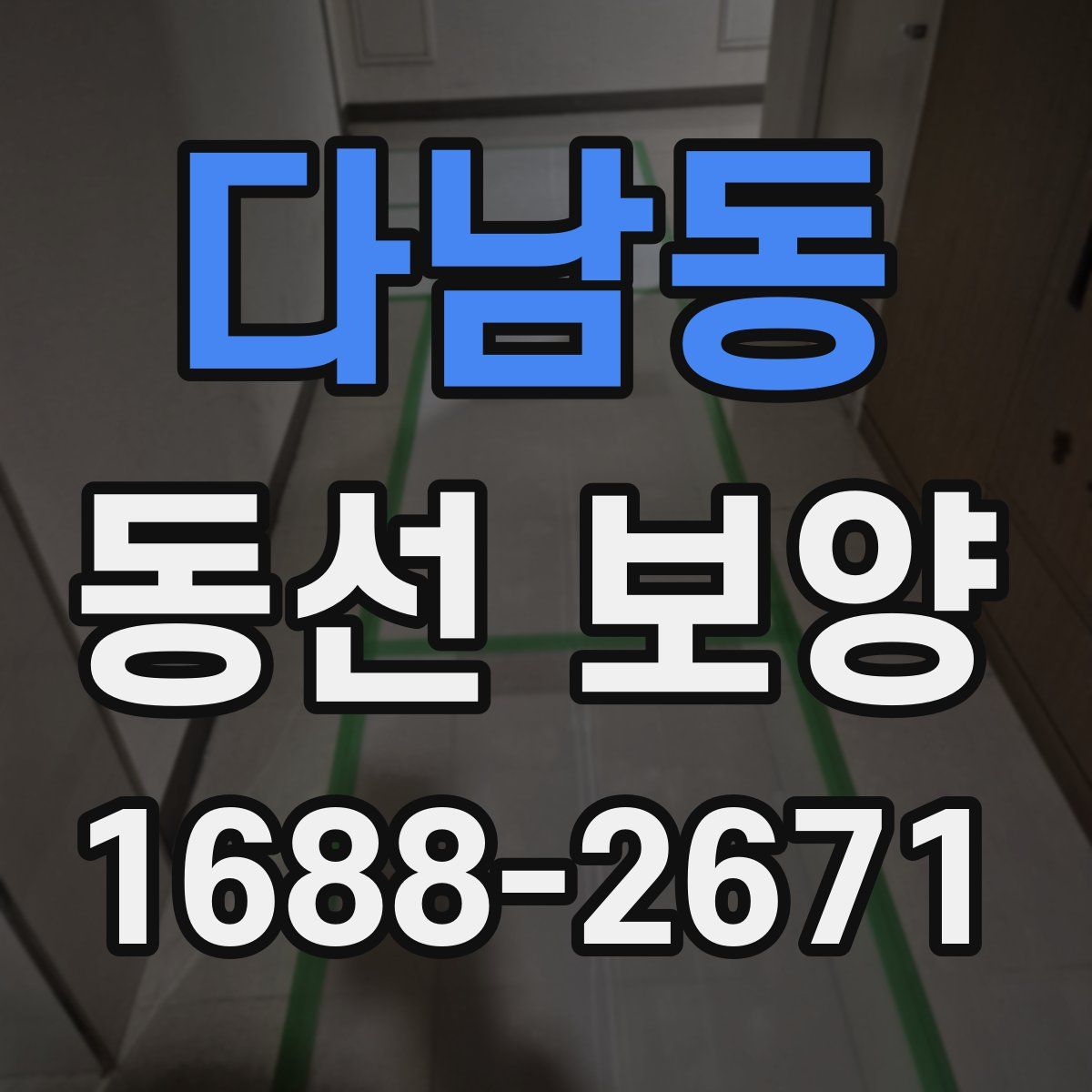 다남동 동선 보양