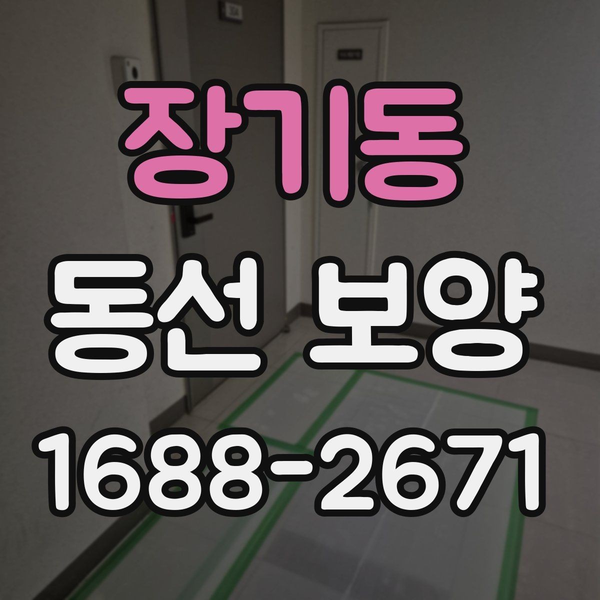 장기동 동선 보양 작업 시간과 일정 잡는 법