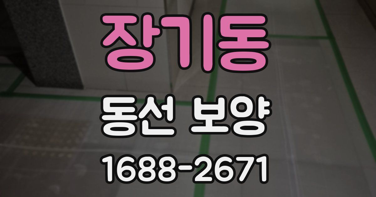 장기동 동선 보양