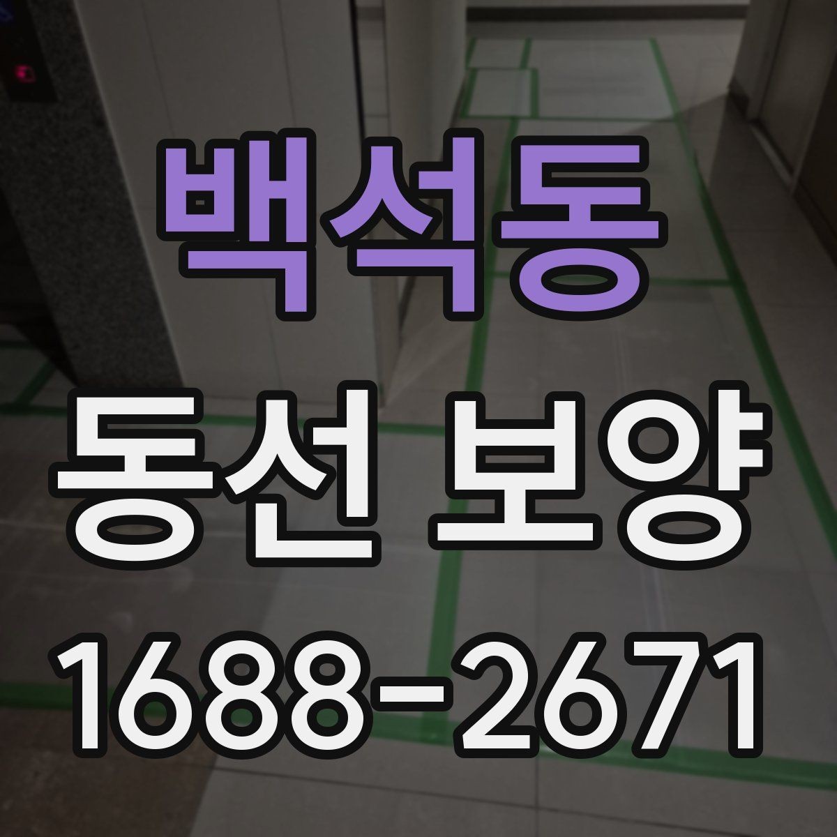 백석동 동선 보양 현장에서 주의할 점 모음