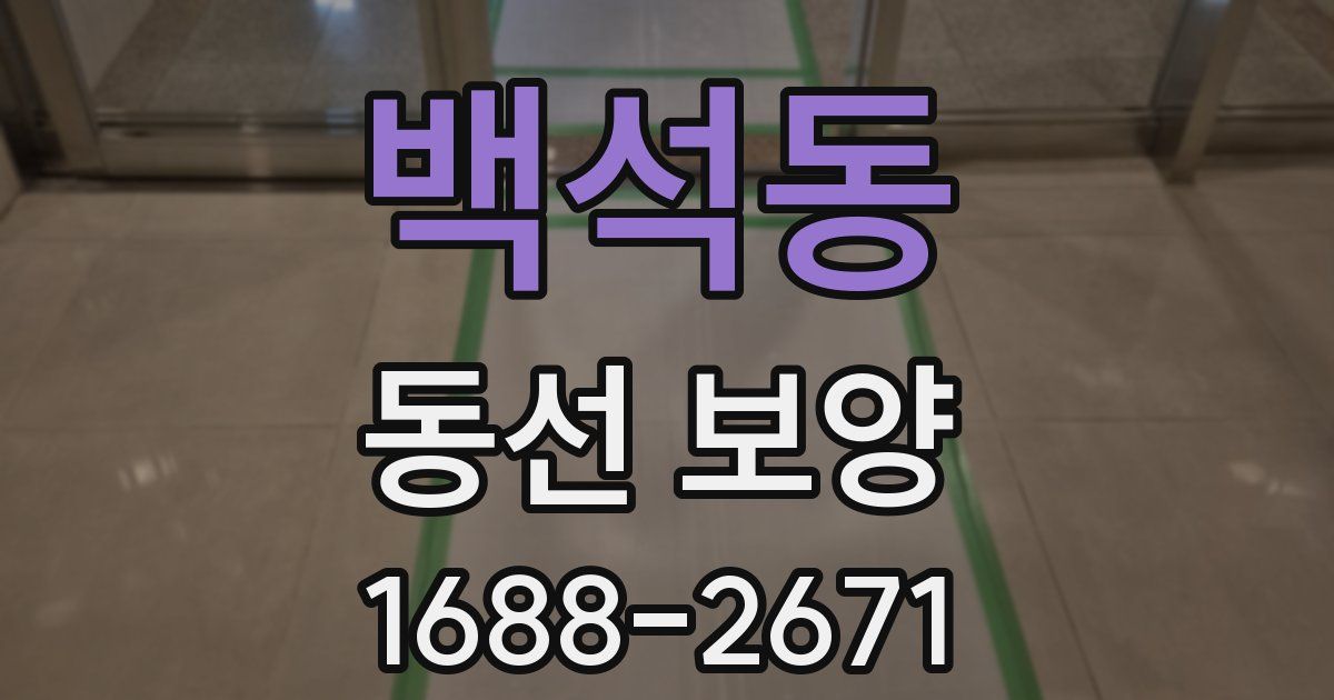 백석동 동선 보양