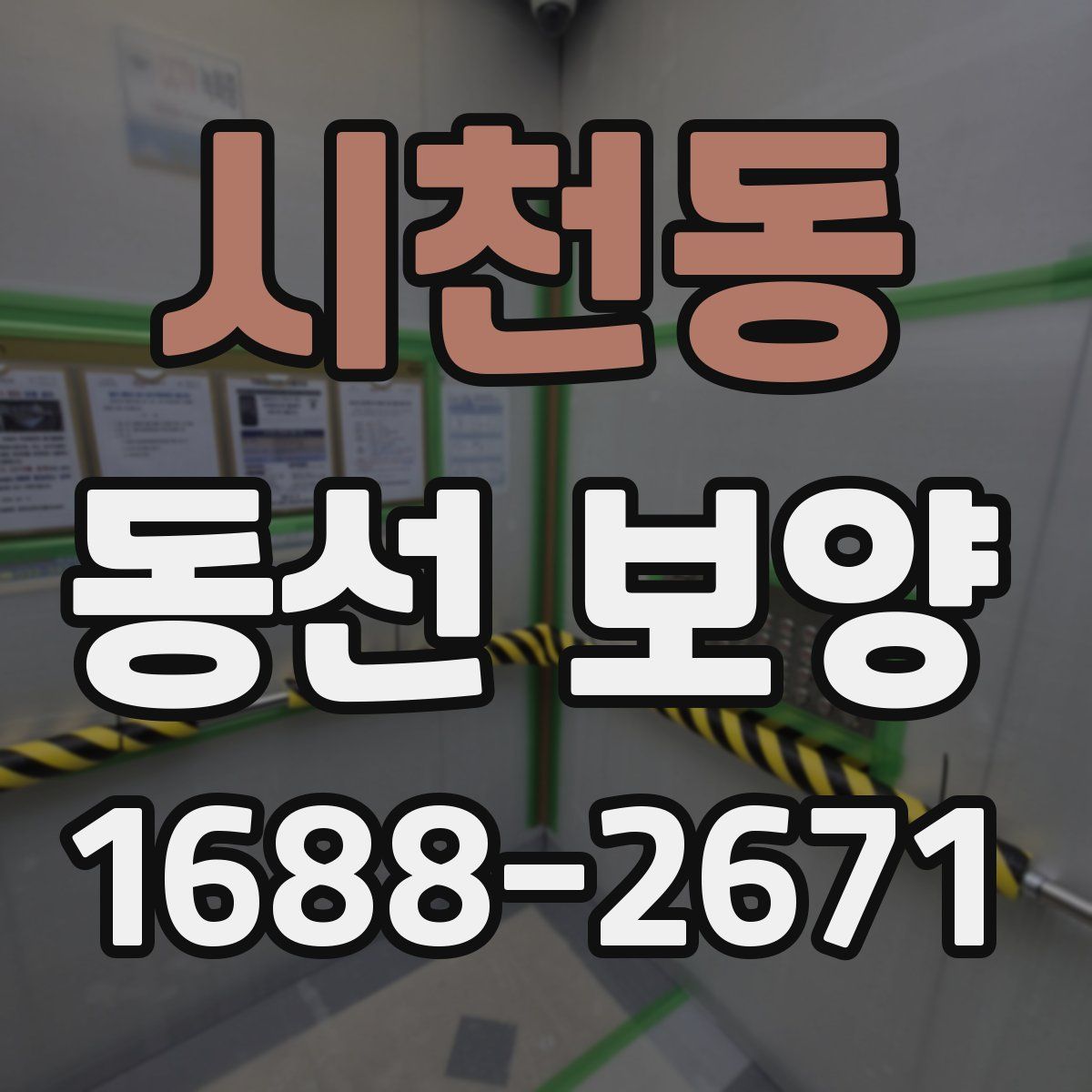 시천동 동선 보양