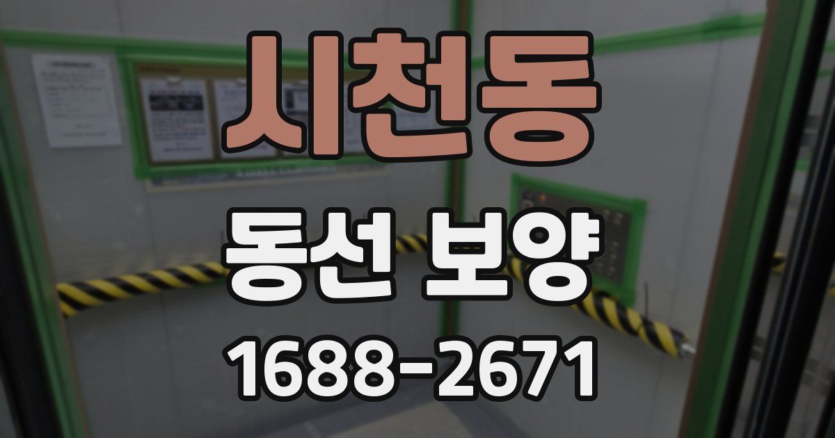 시천동 동선 보양
