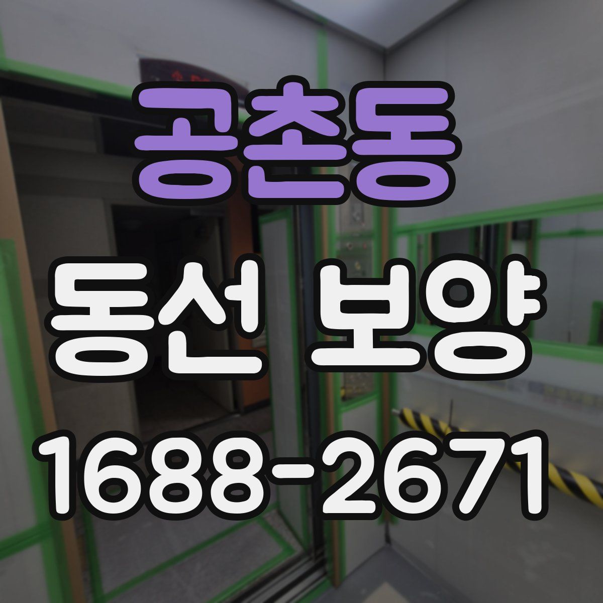 공촌동 동선 보양