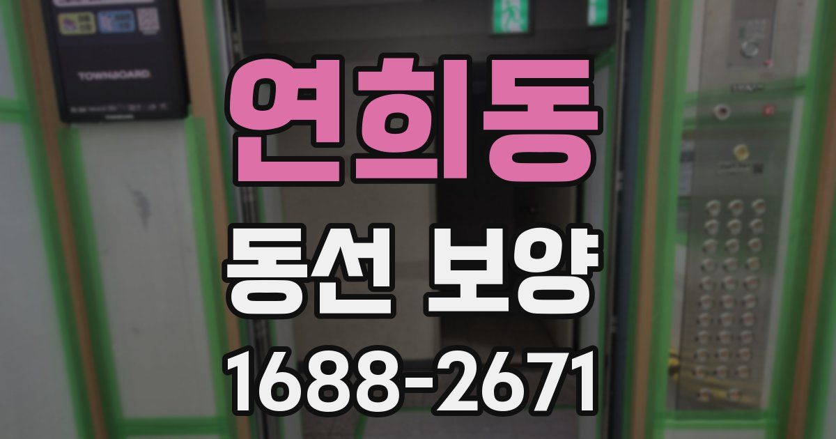 연희동 동선 보양
