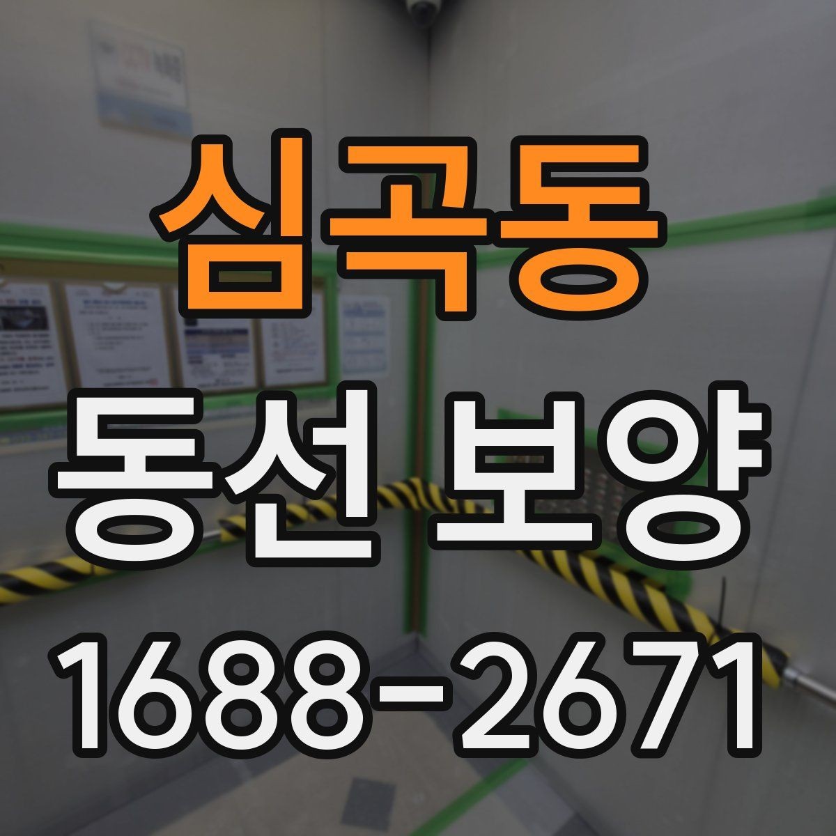 심곡동 동선 보양 시공 품질을 좌우하는 준비 단계