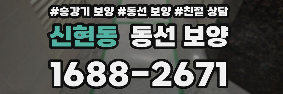 신현동 동선 보양