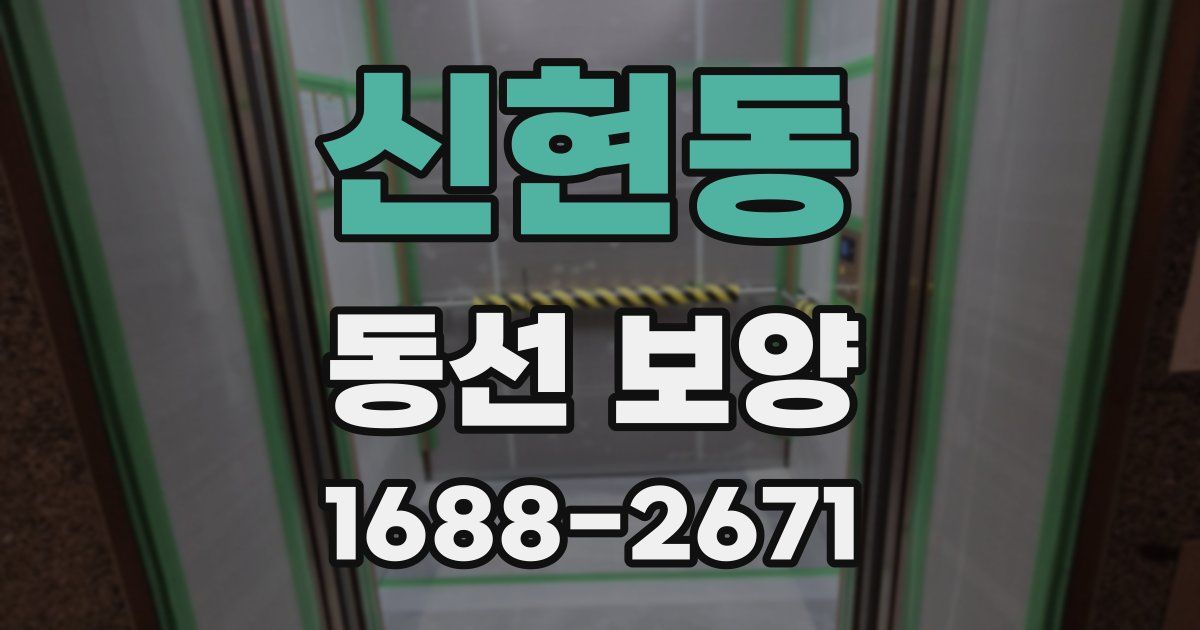 신현동 동선 보양